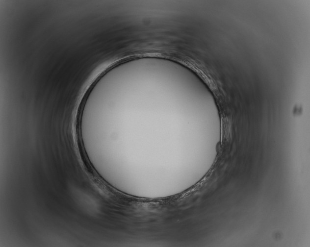X0000103900147200809191103