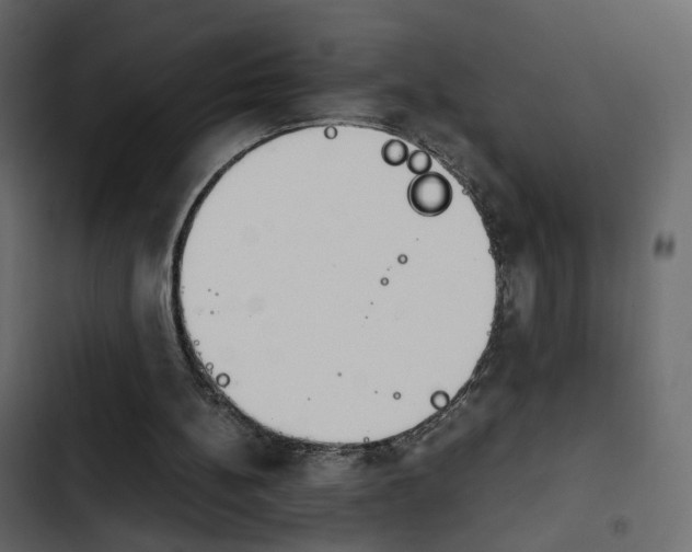 X0000103900148200809191103