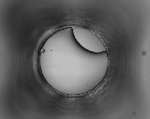 X0000103900149200809191103