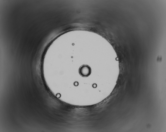 X0000103900150200809191103