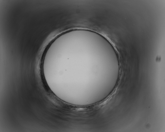X0000103900151200809191103