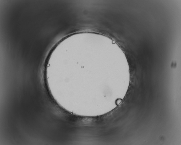 X0000103900152200809191103