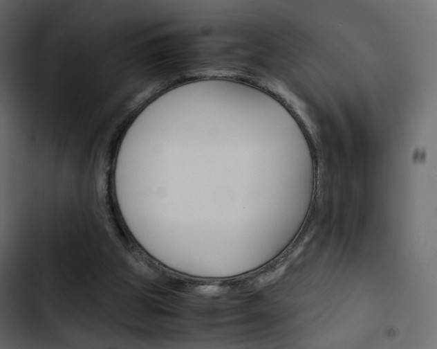 X0000103900153200809191103