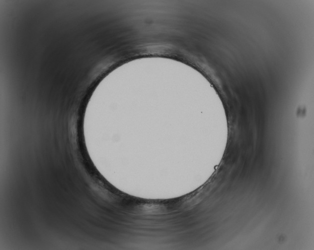 X0000103900154200809191103