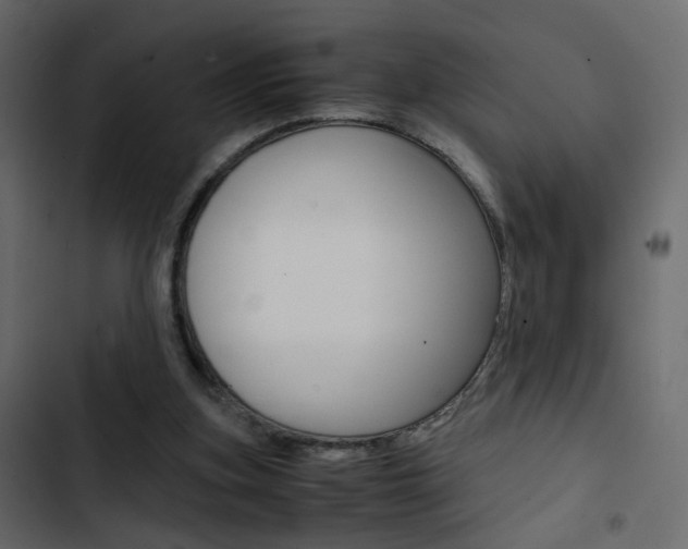 X0000103900155200809191103