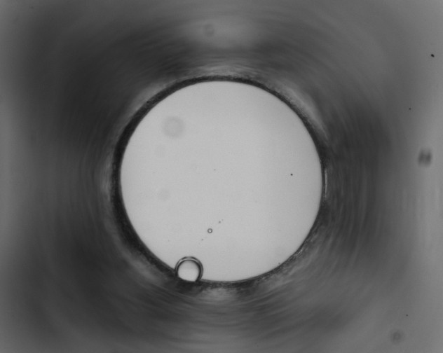X0000103900156200809191103