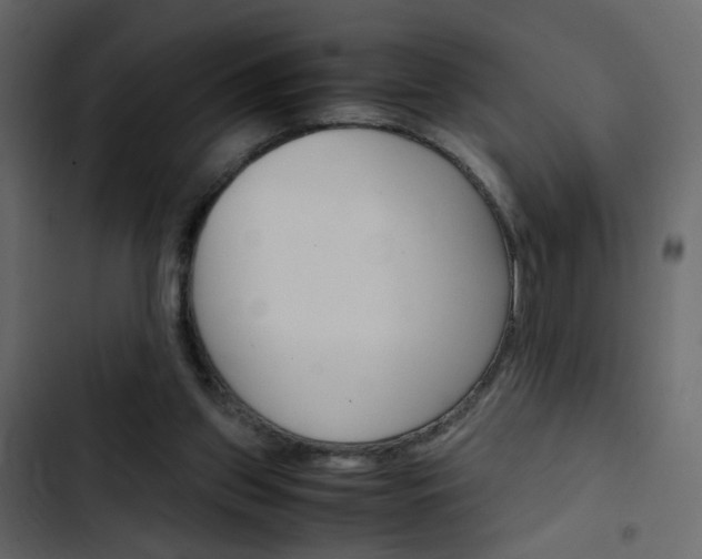 X0000103900157200809191103