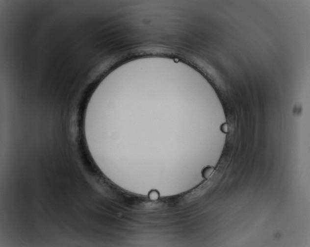 X0000103900158200809191103