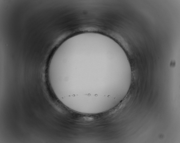X0000103900159200809191103