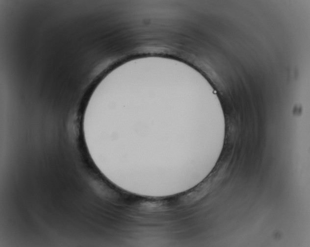 X0000103900160200809191103
