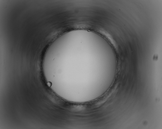 X0000103900161200809191103