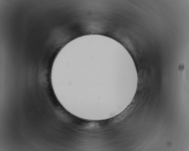 X0000103900162200809191103