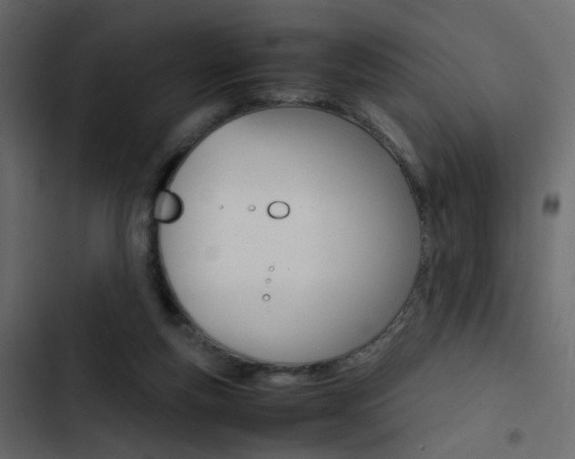X0000103900163200809191103