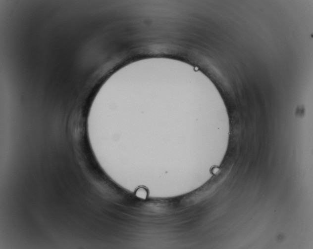 X0000103900164200809191103