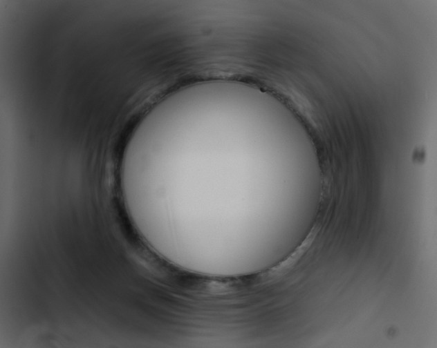 X0000103900166200809191103