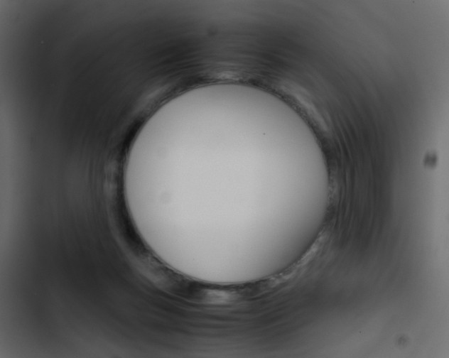 X0000103900167200809191103