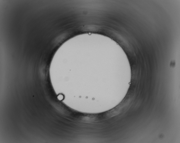 X0000103900168200809191103