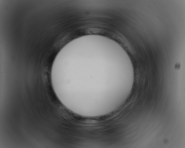 X0000103900169200809191103