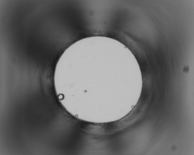 X0000103900170200809191103