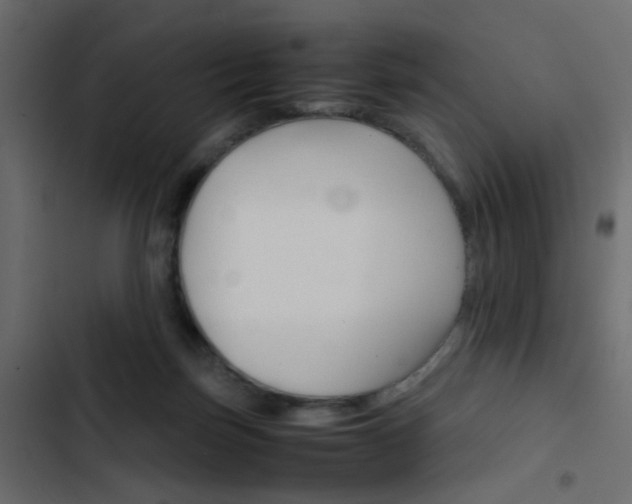 X0000103900171200809191103