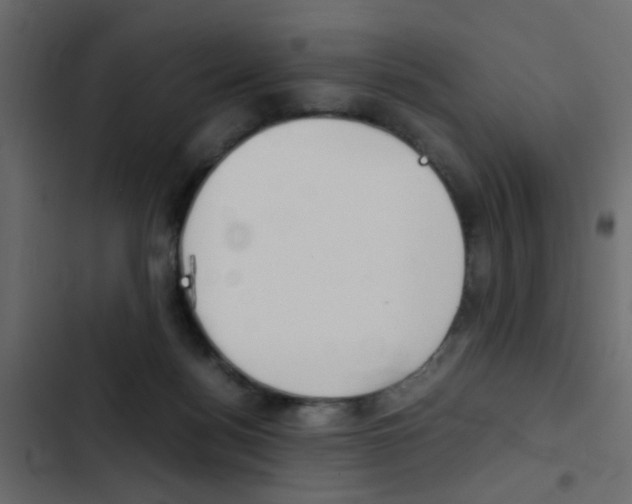 X0000103900172200809191103