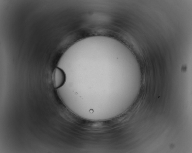 X0000103900173200809191103