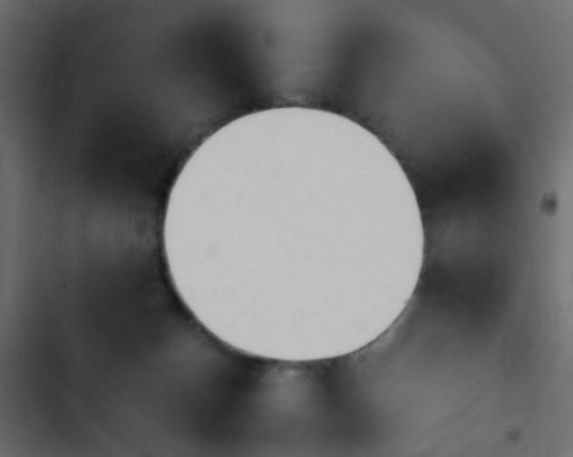 X0000103900174200809191103