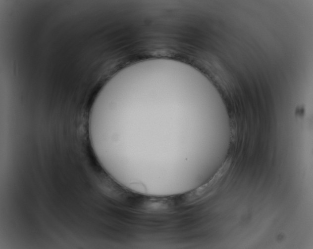 X0000103900175200809191103