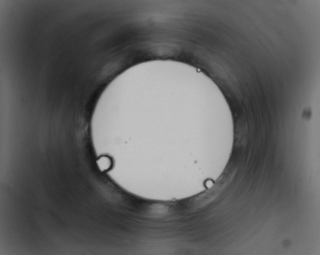 X0000103900176200809191103