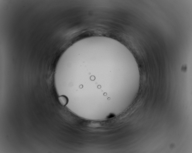 X0000103900177200809191103