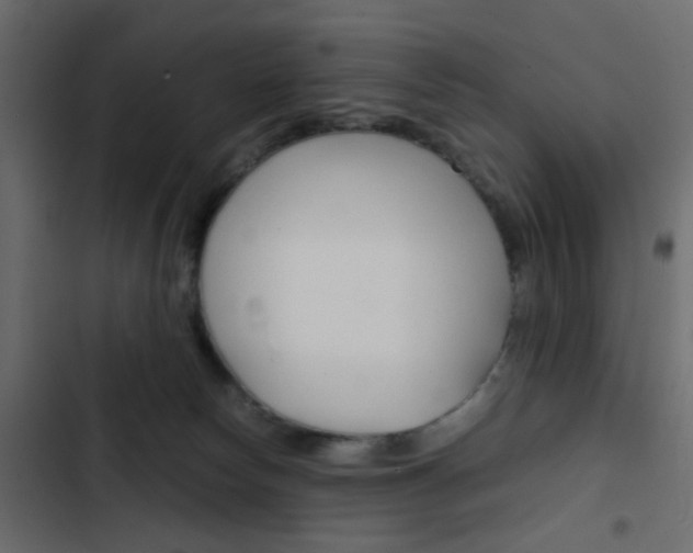 X0000103900178200809191104