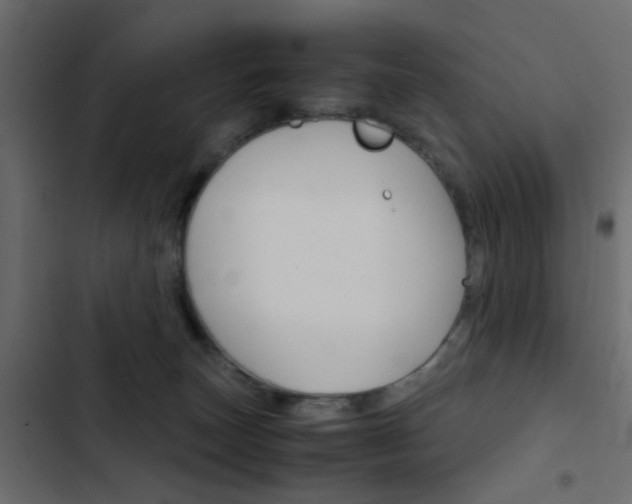 X0000103900179200809191104