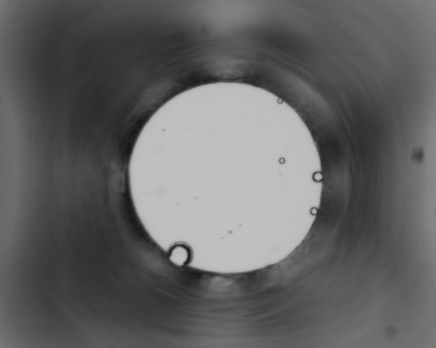 X0000103900180200809191104