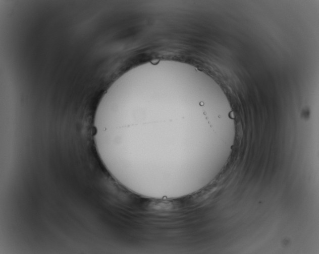X0000103900181200809191104