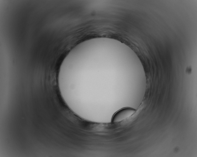 X0000103900182200809191104