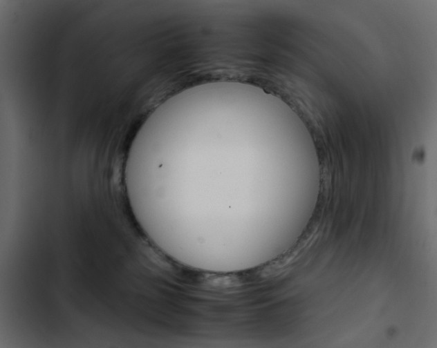 X0000103900185200809191104