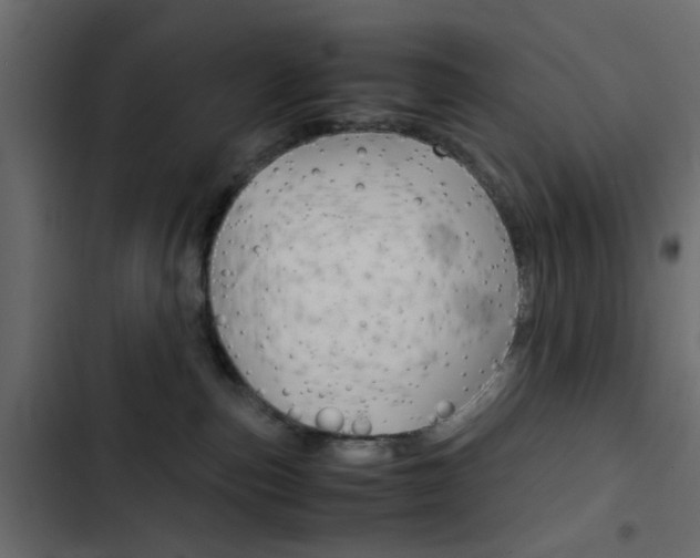 X0000103900187200809191104