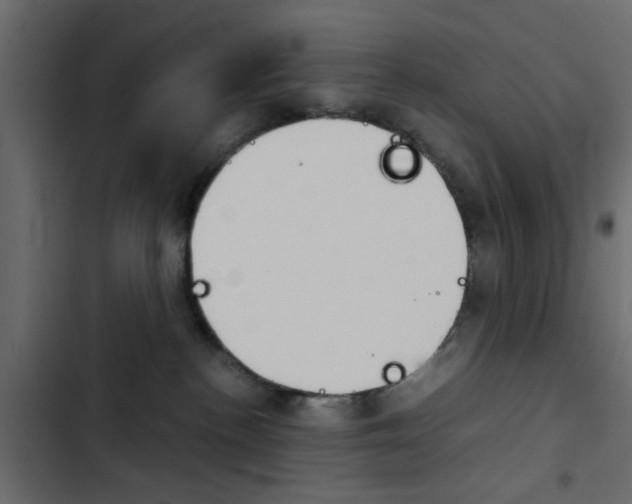 X0000103900188200809191104