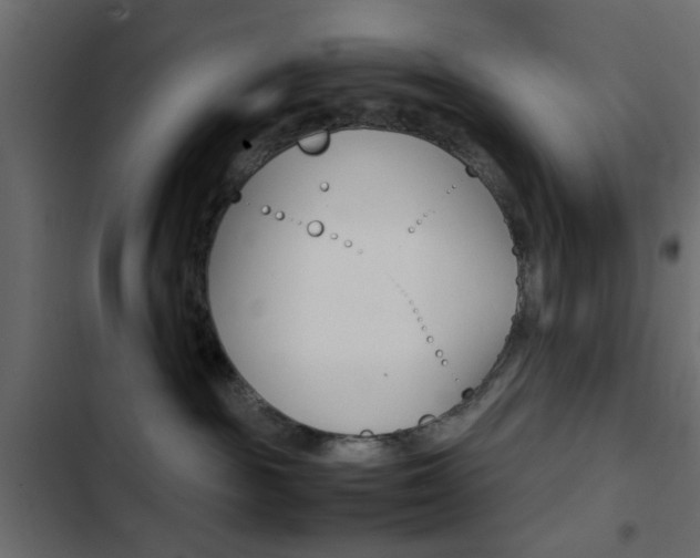 X0000103900189200809191104