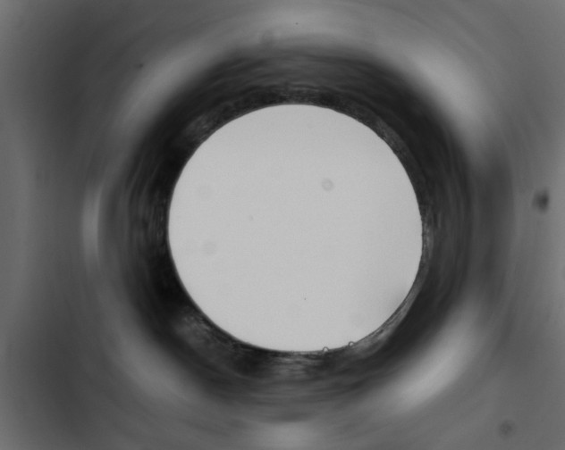 X0000103900190200809191104