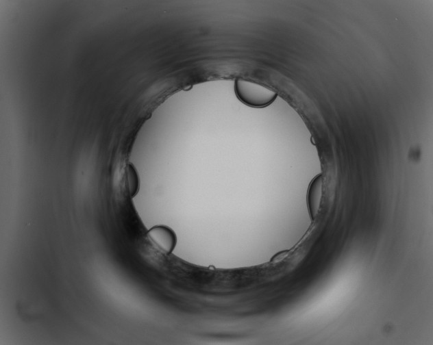 X0000103900191200809191104