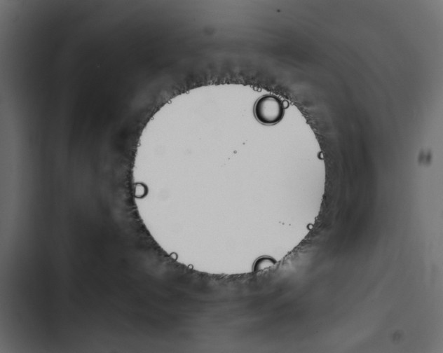 X0000103900192200809191104