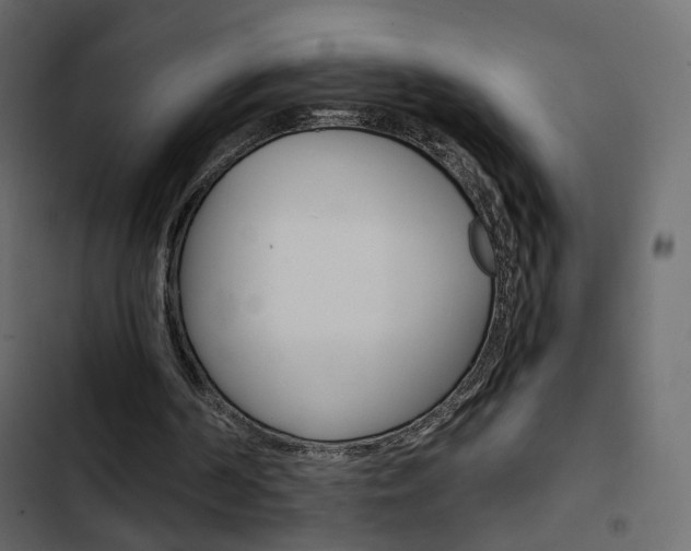 X0000103900194200809191103