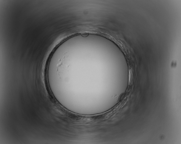 X0000103900195200809191103
