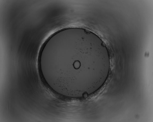 X0000103900196200809191103