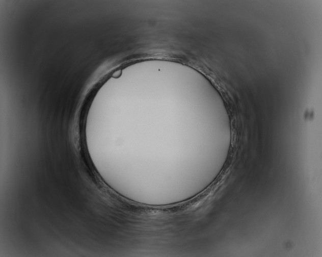 X0000103900198200809191103
