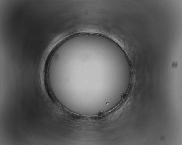 X0000103900199200809191103