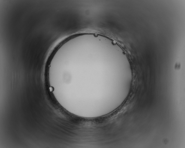 X0000103900200200809191103