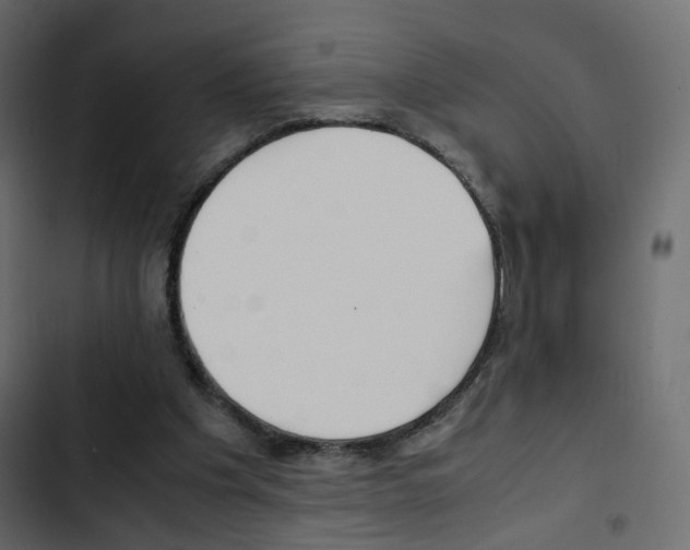 X0000103900201200809191103