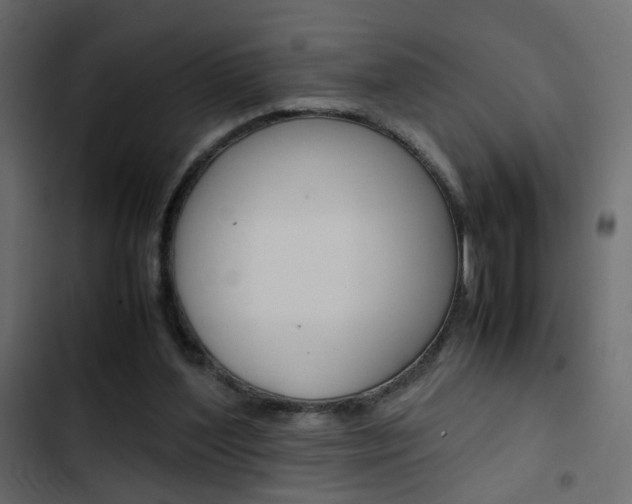 X0000103900204200809191103